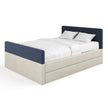 Navy / Ivory