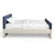 Navy / Ivory