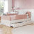 Blush / Ivory